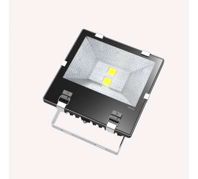 Led Bouwlamp 100 Watt 2019